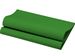 Serviette Dunisoft vert feuille 40x40 par 360