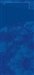 Sachet couvert Sacchetto Duni bleu foncé colis de 500