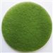 Disque diamant Janex D 165 mm vert N4 grain 3000 par 2