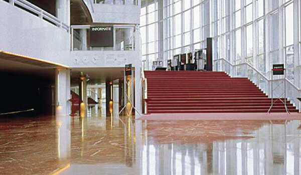 Disque de lustrage sol professionnel